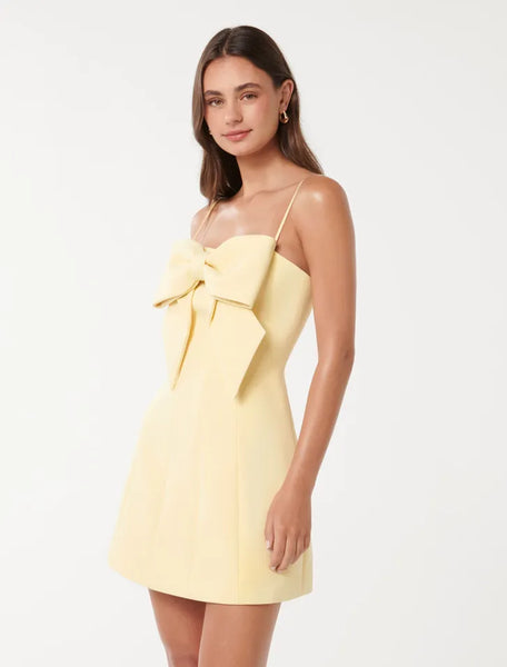 Hayley Bow Front Mini Dress