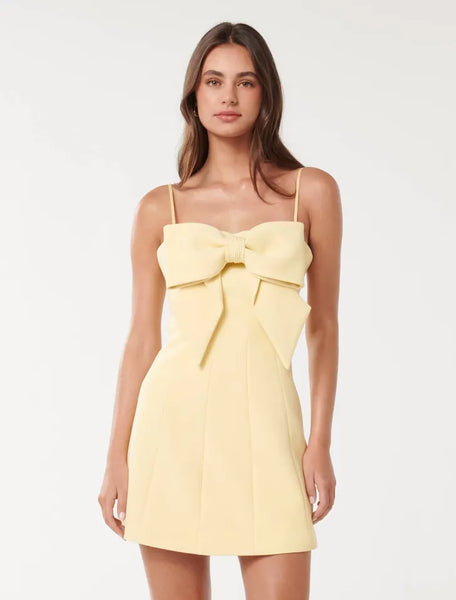 Hayley Bow Front Mini Dress